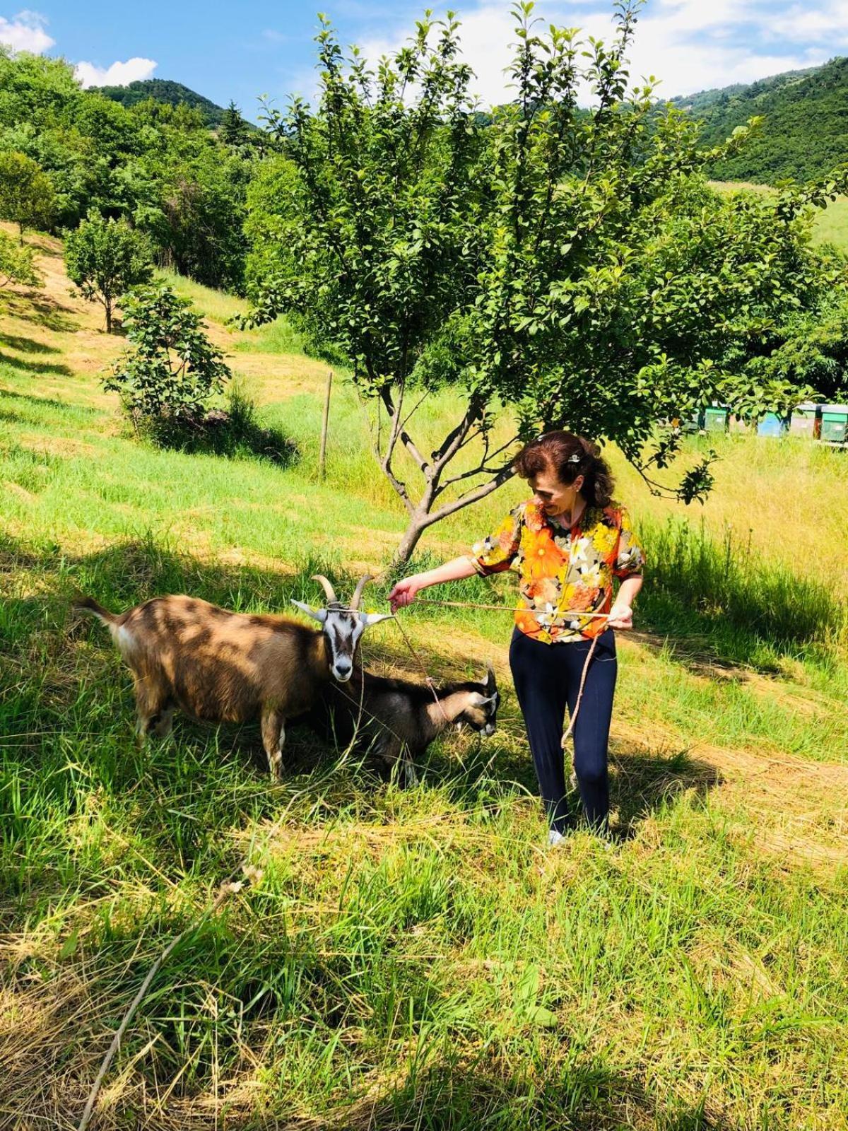 Agape Vakantieboerderij Caprino Veronese