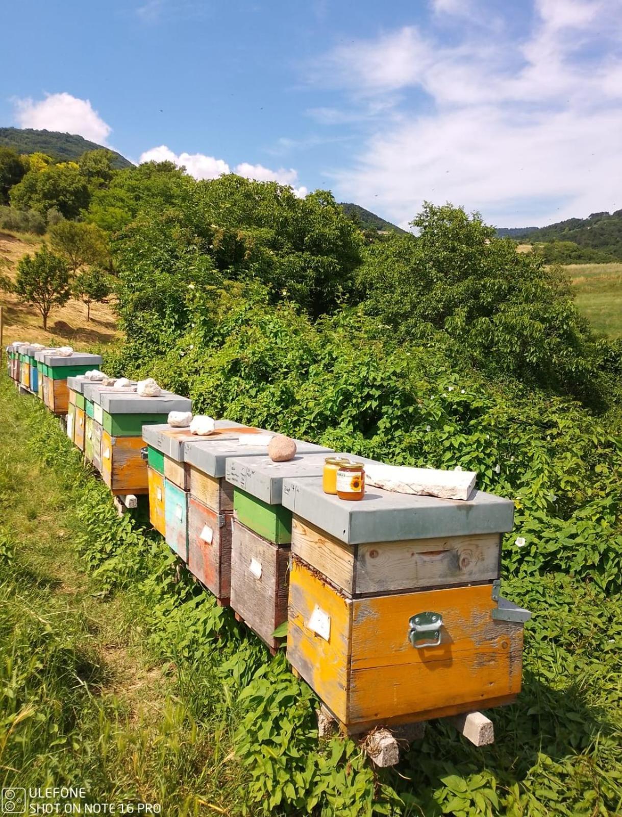 Vakantieboerderij Agape Caprino Veronese