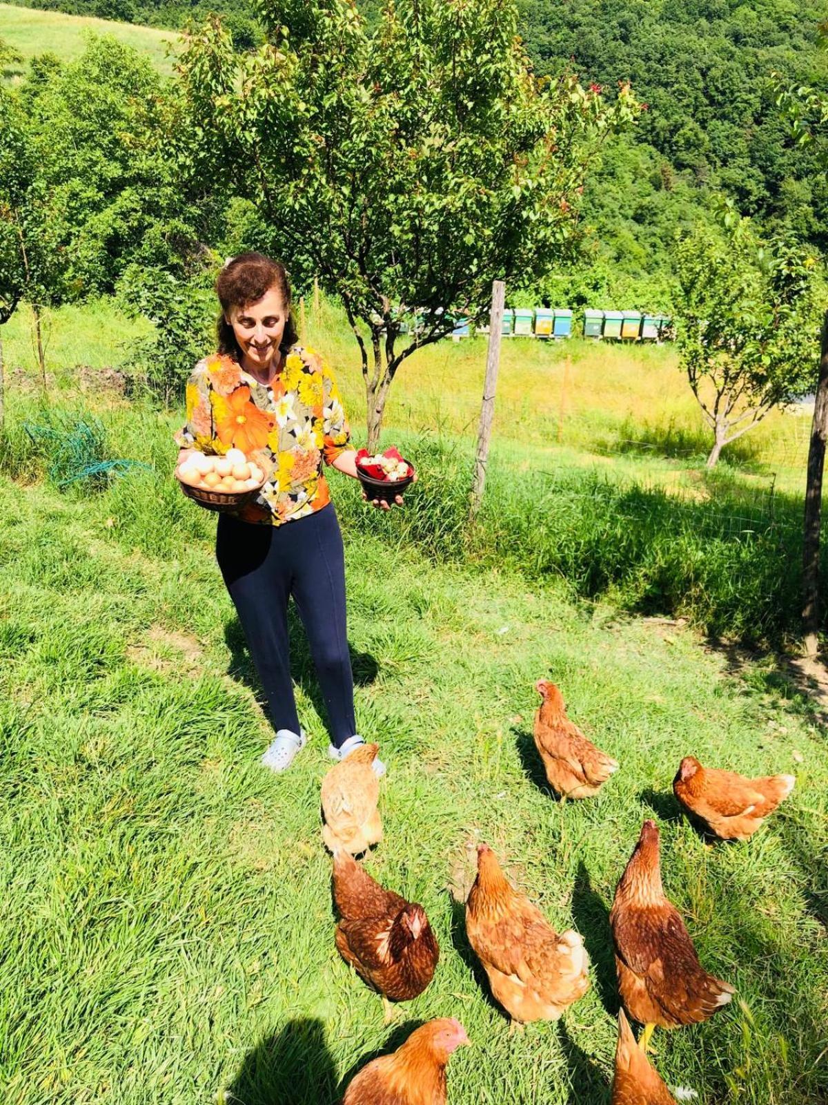 Vakantieboerderij Agape Caprino Veronese