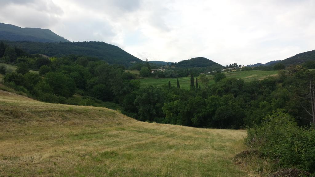 Agape Caprino Veronese